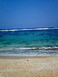 NEC_0269.JPG